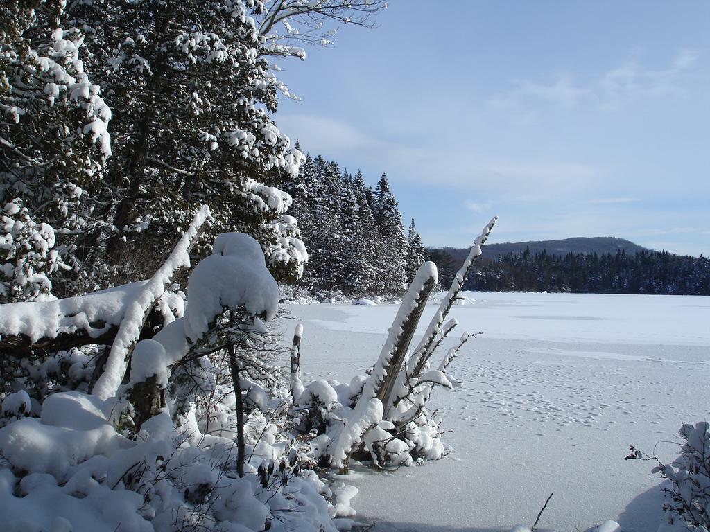 Manoir Du Lac Sept-Iles Saint-Raymond Eksteriør billede